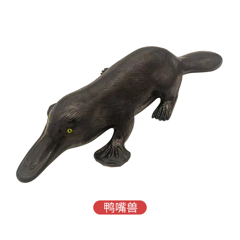 鸭嘴兽模型